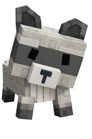 Raccoon